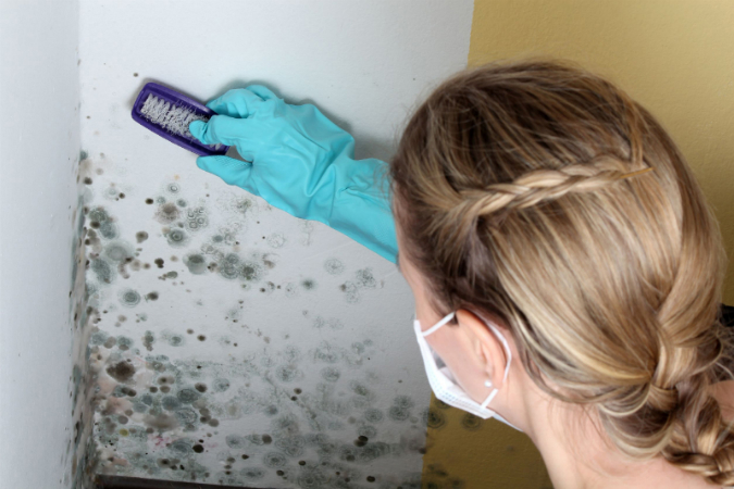 How Could You Possibly Have Serious Mold Problems In Alexandria VA?