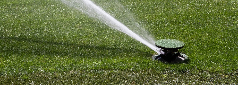 Why You Should Invest in an Irrigation System in Greenville, SC