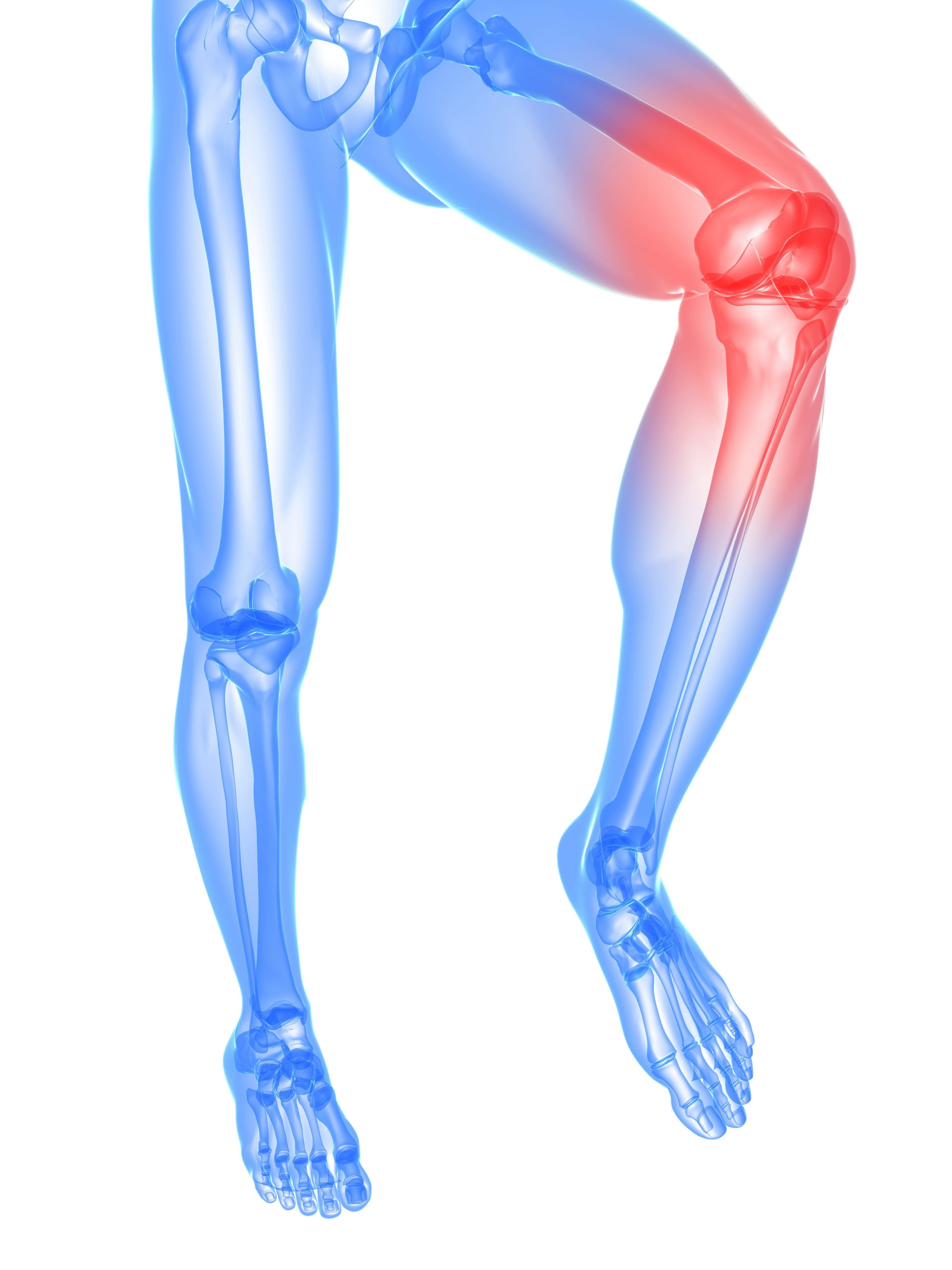 Reasons to Visit an Orthopedic Specialist in Forest Hills NY