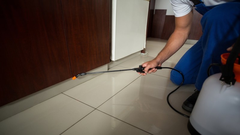 Hire A Cochroach Exterminator Cabot Ar Today