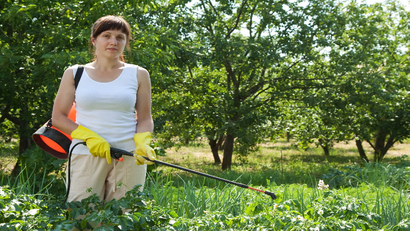 Reasons to Hire Pest Management Services in Portageville, MO