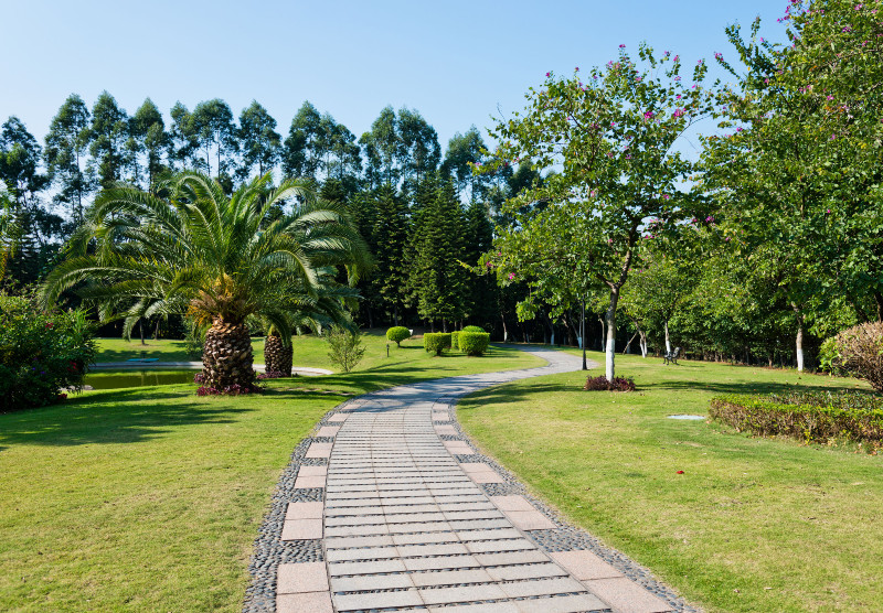 Here’s Why You Should Contact an Arborist in Los Angeles Today