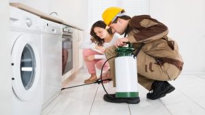 When to Call an Exterminator in Peachtree City, GA