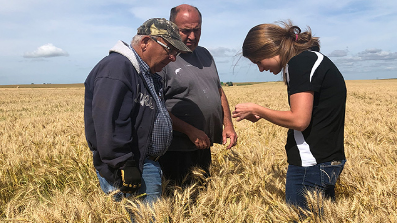 Get Help with Agriculture in Kindersley, SK