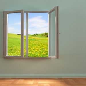 What Should Homeowners Look For in Window Companies in Wheaton, IL