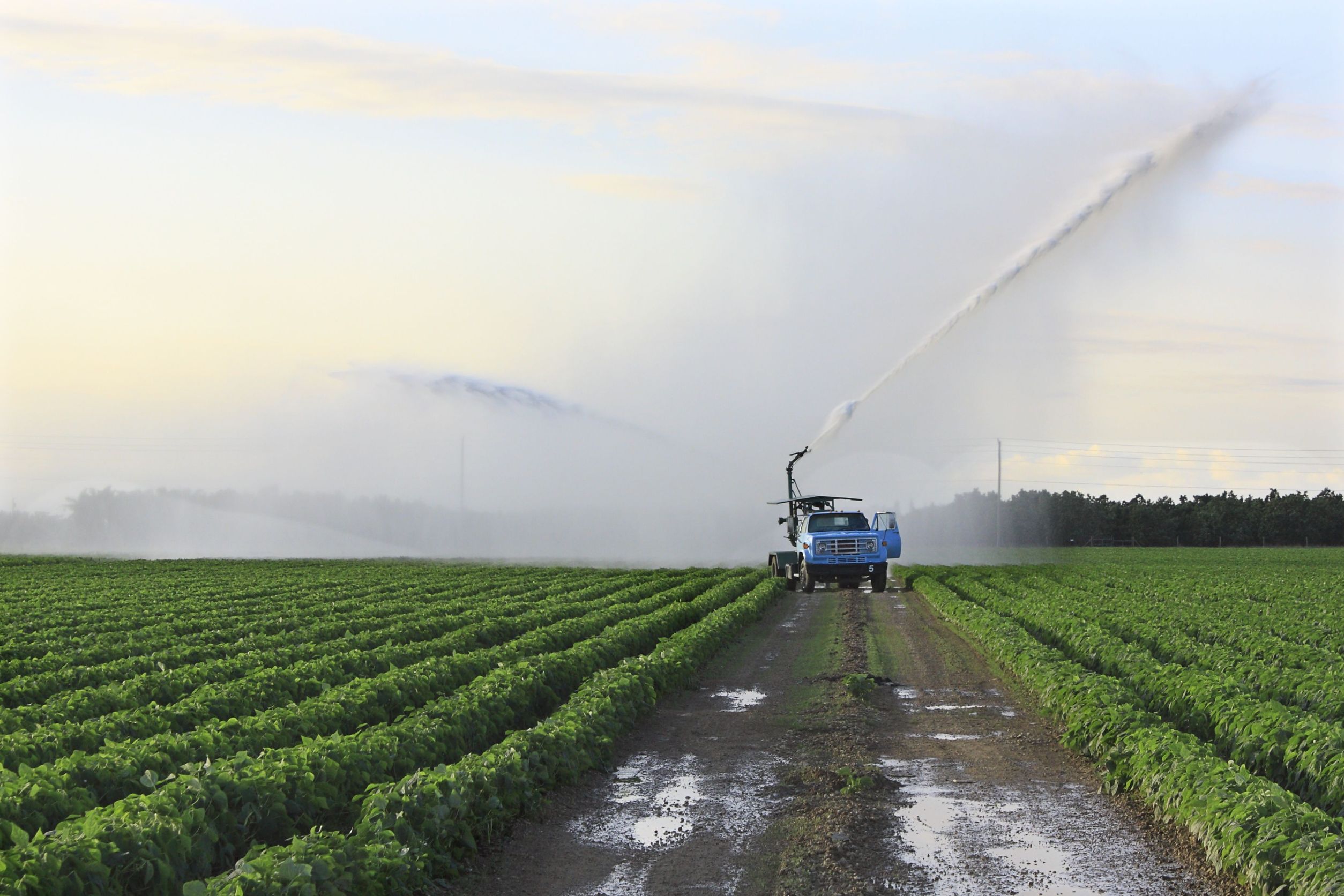 Signs of a Trustworthy Farm Real Estate Company in Bureau County