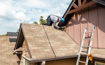 Signs That You Need Bat Removal in Fayetteville, GA