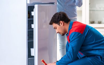 Fridge Repair Services in Bellevue, WA: Rapid, Reliable Fixes to Keep Your Kitchen Running Smoothly