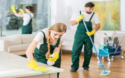 Achieving A Healthier Home With House Cleaning Services In Newtown, PA