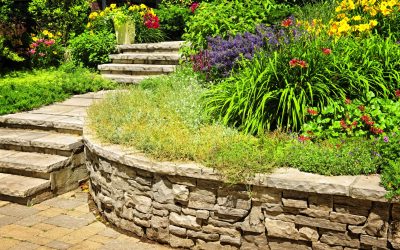 Enhancing Curb Appeal with Professional Landscape Design in Charlotte, NC