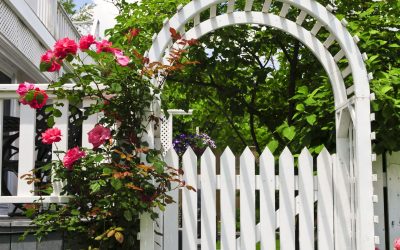 Expert Advice on Picking the Perfect Fence Company Near Little Rock, AR, for Reliable Security and Stunning Curb Appeal