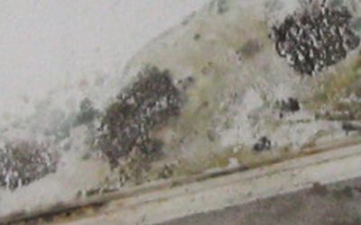 Early Mold Detection through Professional Mold Testing in Reading, PA