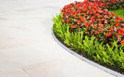 Best Landscaping Companies Near Minnetonka MN: Transform Your Yard Today